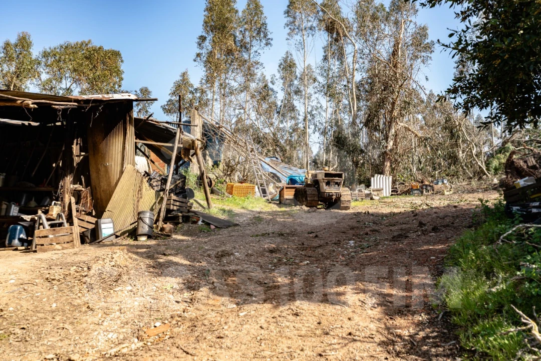 Quinta para Venda em Maiorga Foto 17