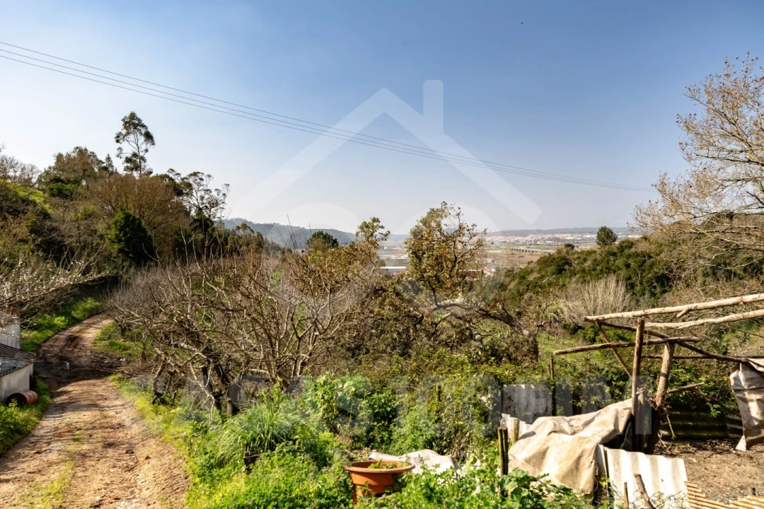 Quinta para Venda em Maiorga Foto 31