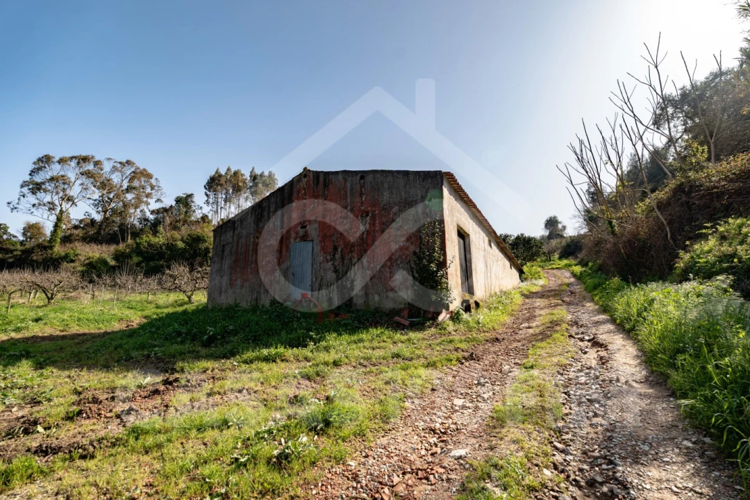 Quinta para Venda em Maiorga Foto 33