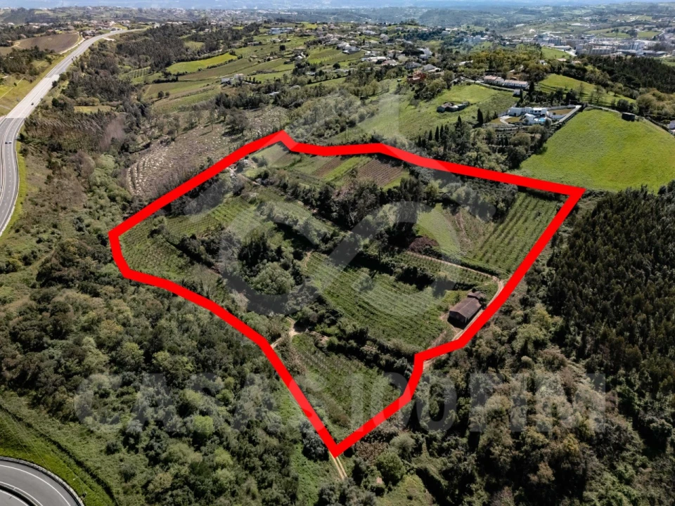 Quinta para Venda em Maiorga Foto 2