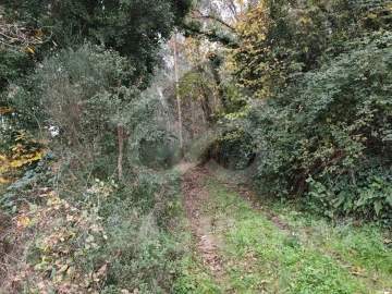 Quinta para Venda em Maiorga