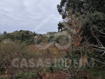 Quinta para Venda em Maiorga