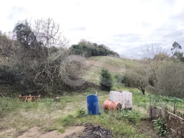 Quinta para Venda em Maiorga
