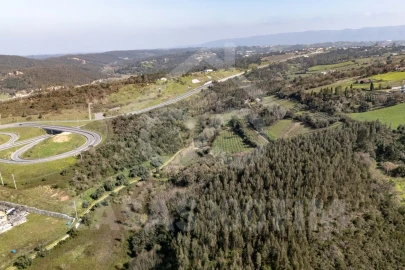 Quinta para Venda em Maiorga