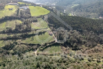 Quinta para Venda em Maiorga