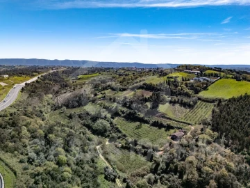 Quinta para Venda em Maiorga