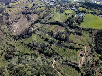 Quinta para Venda em Maiorga