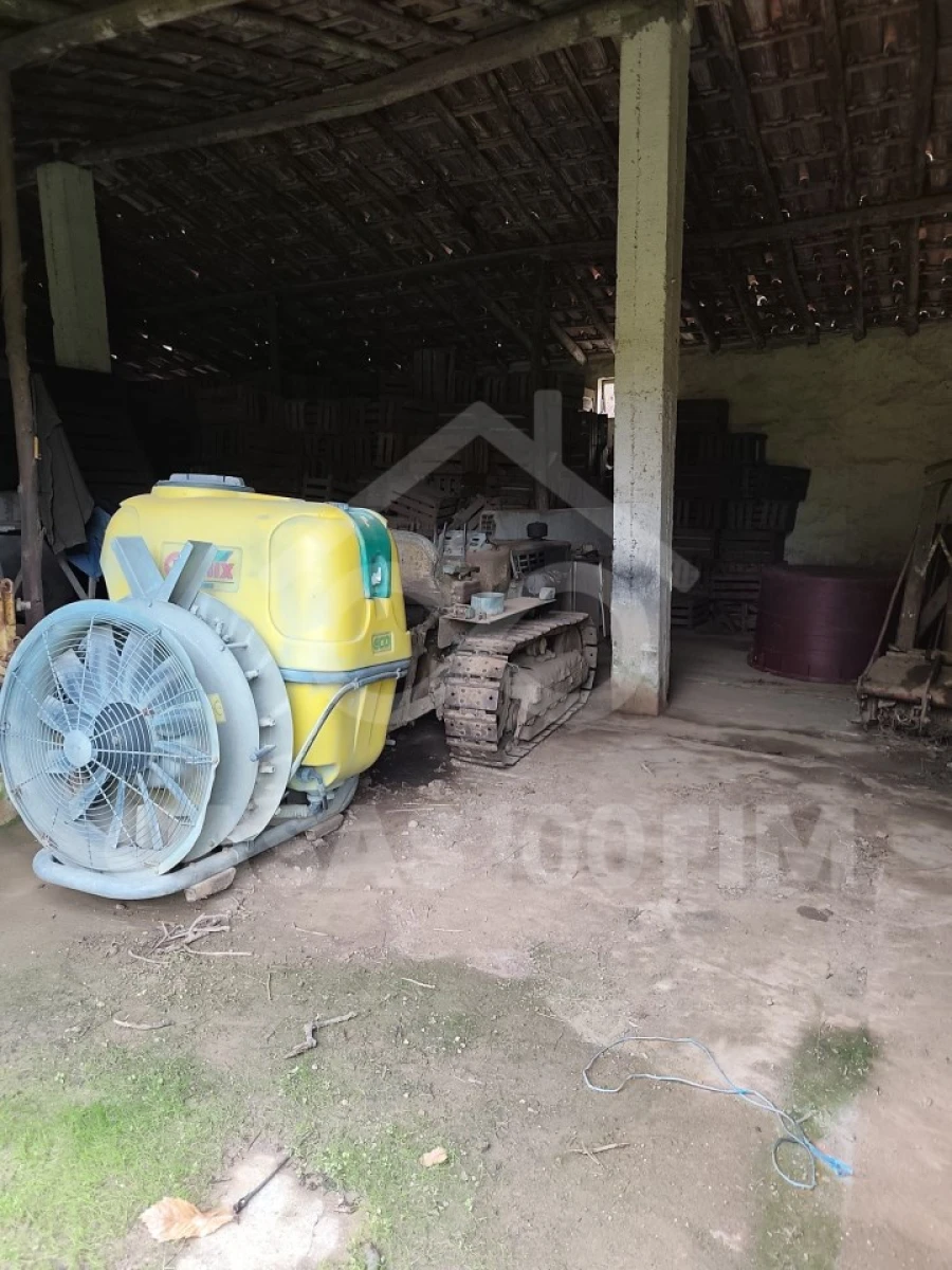 Quinta para Venda em Maiorga Foto 22