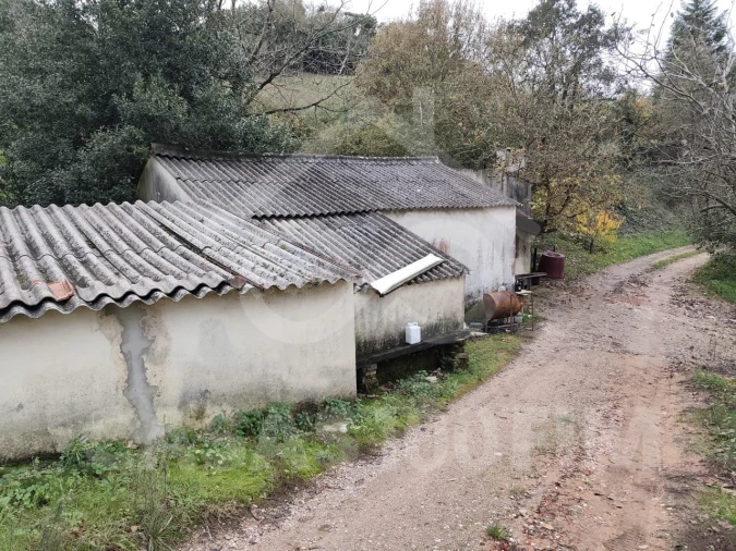 Quinta para Venda em Maiorga Foto 25
