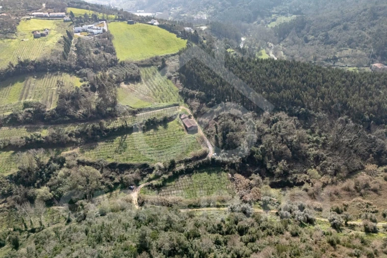 Quinta para Venda em Maiorga Foto 14