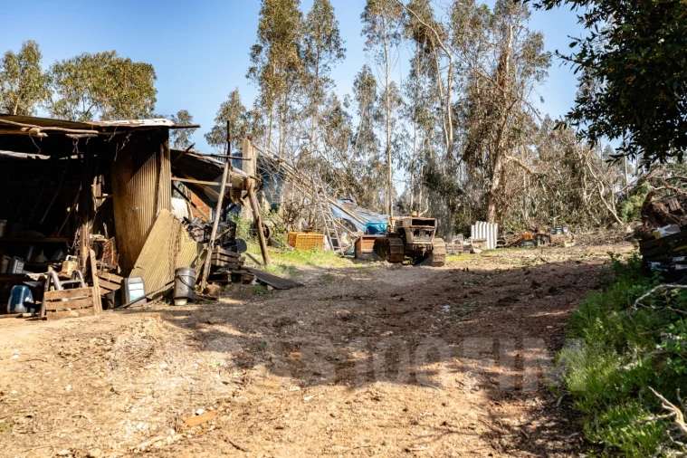 Quinta para Venda em Maiorga Foto 17