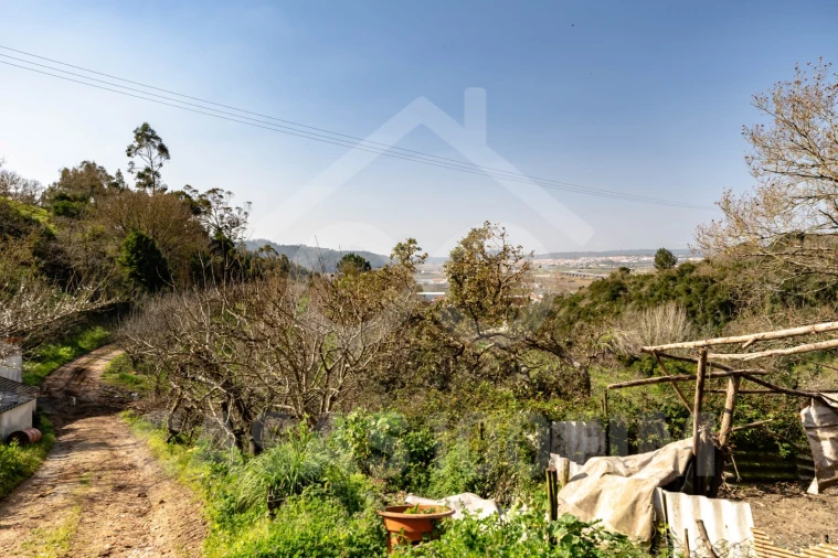 Quinta para Venda em Maiorga Foto 31