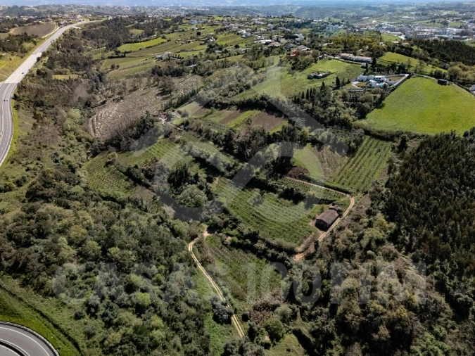Quinta para Venda em Maiorga Foto 35
