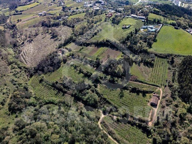 Quinta para Venda em Maiorga Foto 36