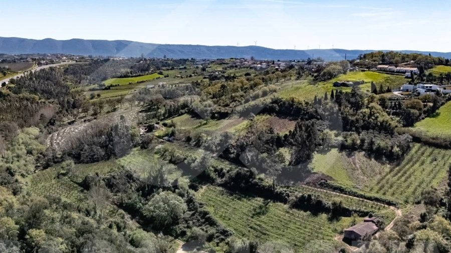 Quinta para Venda em Maiorga