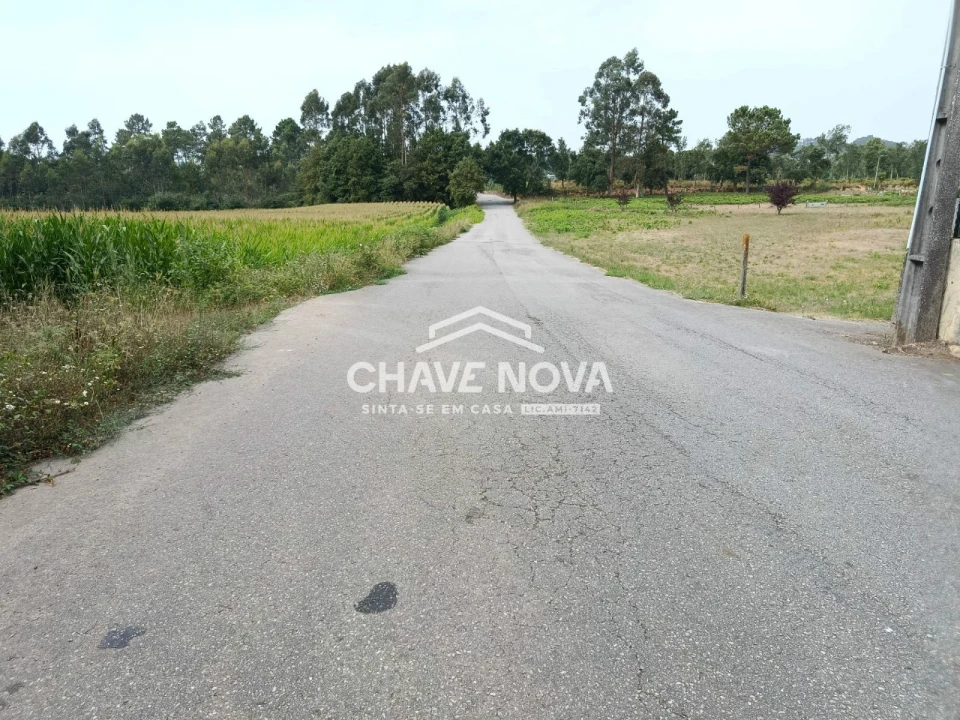 Terreno para Venda em Santa Maria da Feira, Travanca, Sanfins e Espargo Foto 1