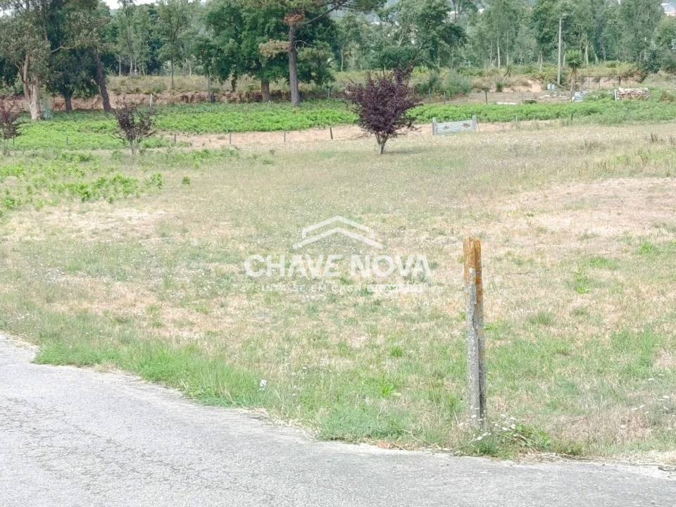 Terreno para Venda em Santa Maria da Feira, Travanca, Sanfins e Espargo Foto 3
