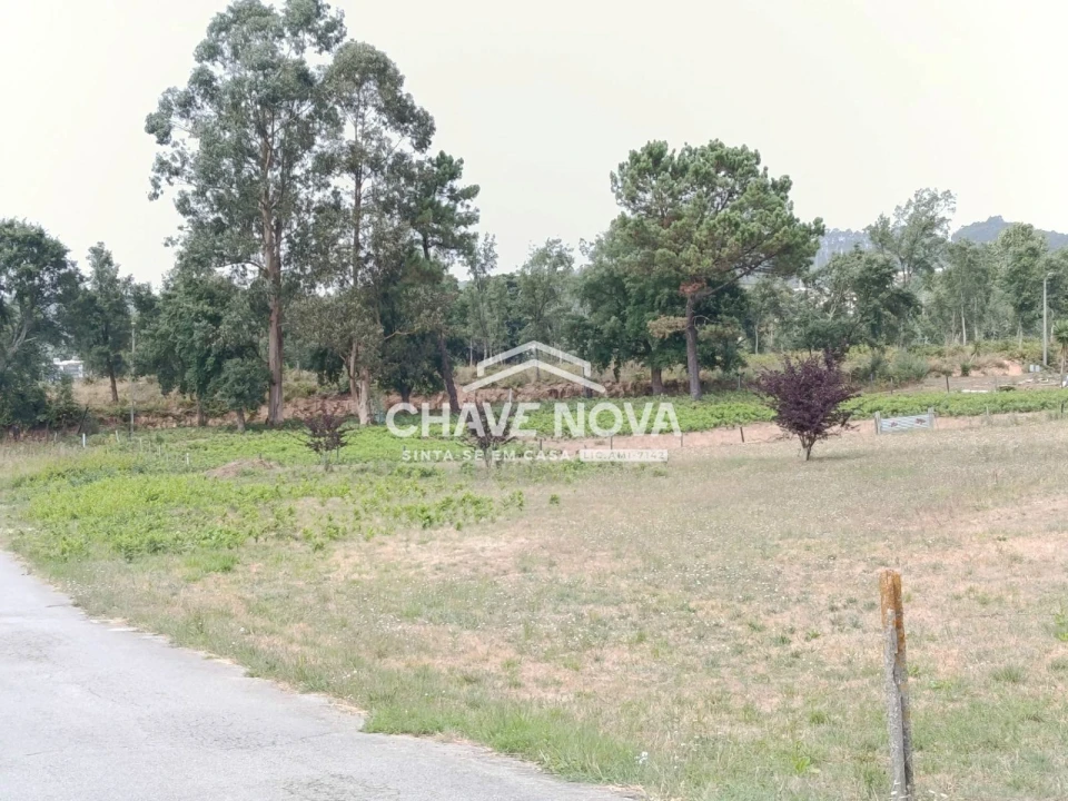 Terreno para Venda em Santa Maria da Feira, Travanca, Sanfins e Espargo Foto 23