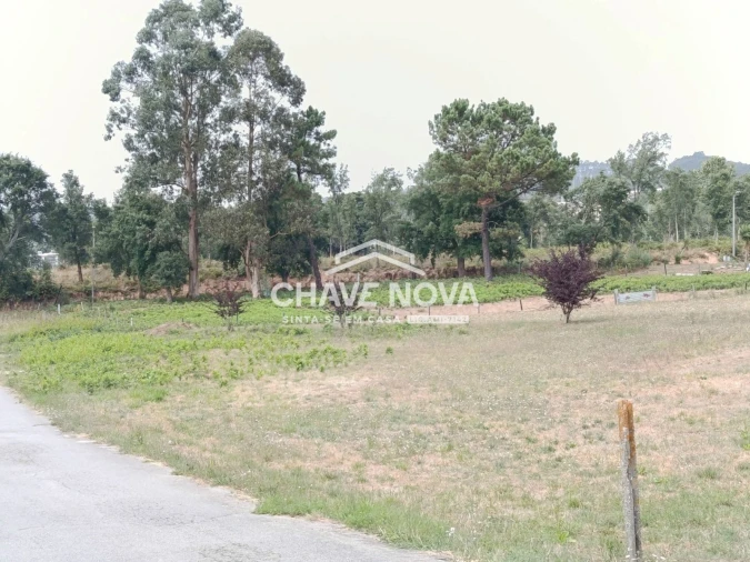 Terreno para Venda em Santa Maria da Feira, Travanca, Sanfins e Espargo Foto 23
