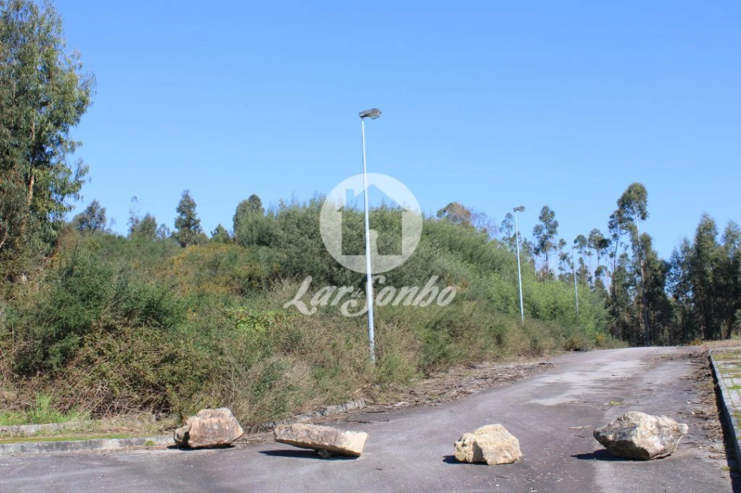 Terreno para Venda em Escariz (São Mamede) e Escariz (São Martinho) Foto 3