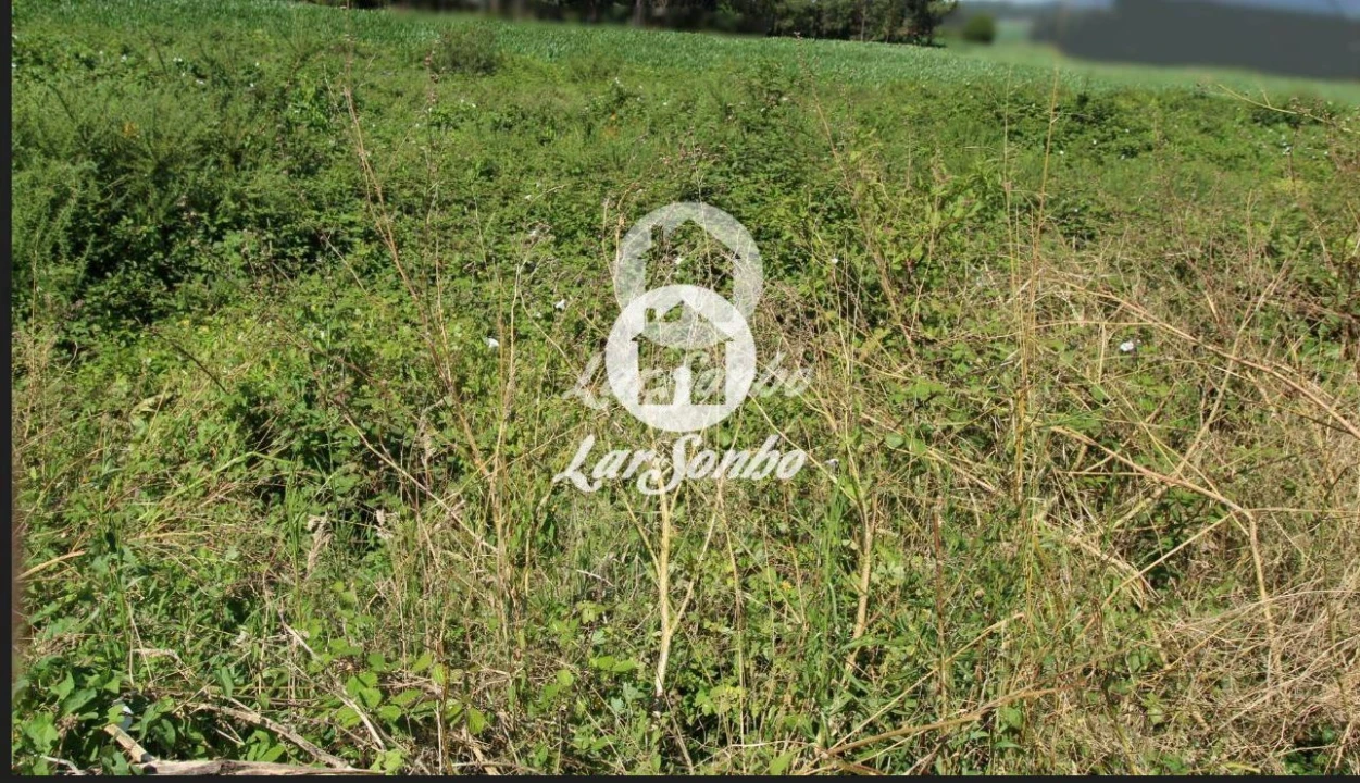 Terreno para Venda em Escariz (São Mamede) e Escariz (São Martinho) Foto 20