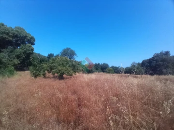 Terreno Agricola ou Rústico para Venda em São Salvador da Aramenha