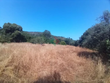 Terreno Agricola ou Rústico para Venda em São Salvador da Aramenha
