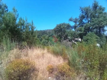 Terreno Agricola ou Rústico para Venda em São Salvador da Aramenha