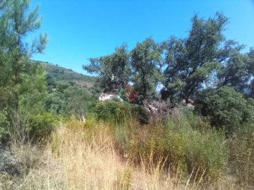 Terreno Agricola ou Rústico para Venda em São Salvador da Aramenha