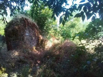 Terreno Agricola ou Rústico para Venda em São Salvador da Aramenha