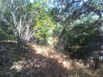 Terreno Agricola ou Rústico para Venda em São Salvador da Aramenha