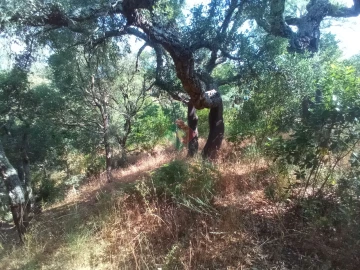 Terreno Agricola ou Rústico para Venda em São Salvador da Aramenha