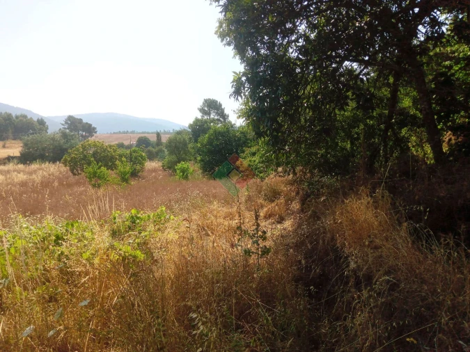 Terreno Agricola ou Rústico para Venda em São Salvador da Aramenha Foto 2