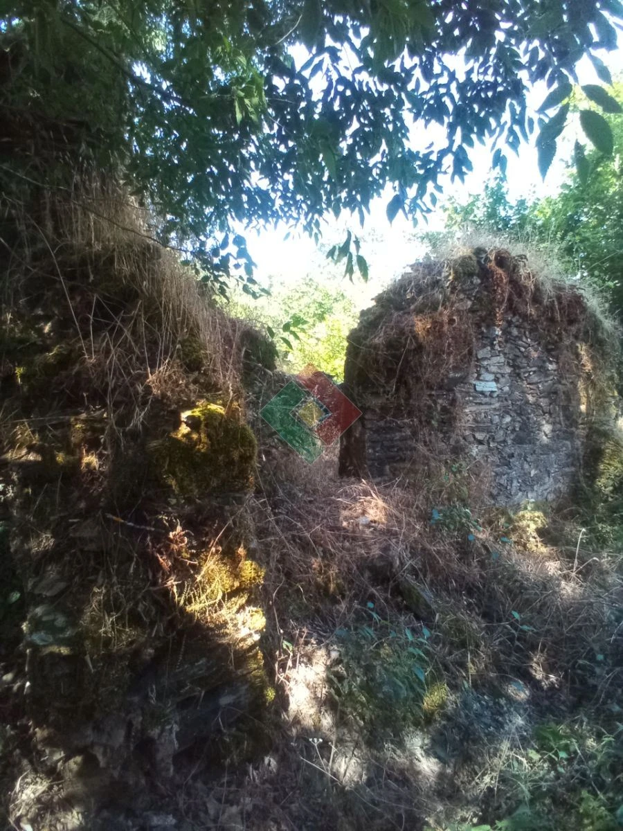 Terreno Agricola ou Rústico para Venda em São Salvador da Aramenha Foto 13