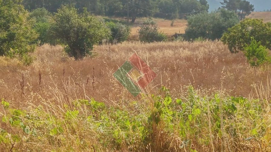 Terreno Agricola ou Rústico para Venda em São Salvador da Aramenha