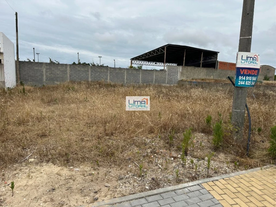 Terreno para Venda em Vieira de Leiria Foto 5