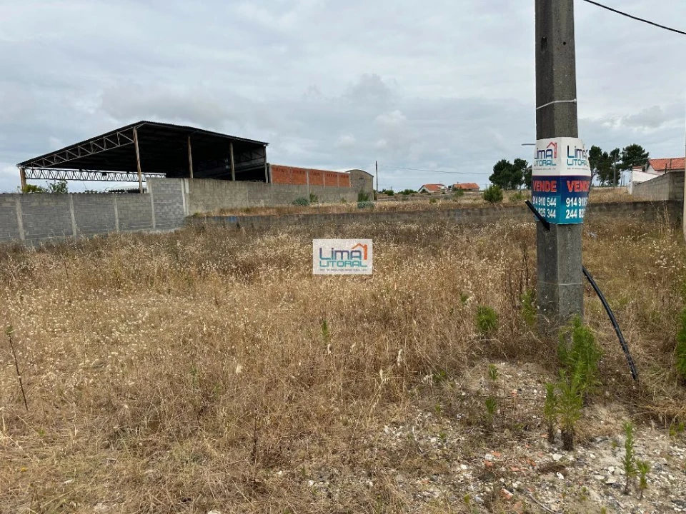 Terreno para Venda em Vieira de Leiria Foto 6