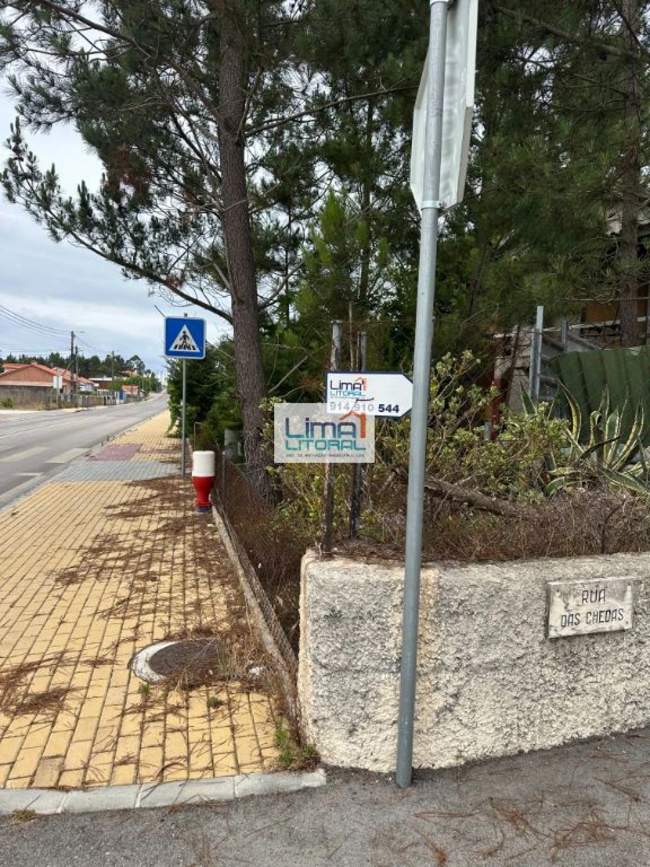 Terreno para Venda em Vieira de Leiria Foto 8