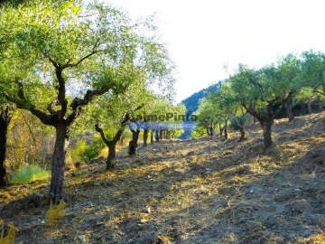 Terreno Agricola ou Rústico para Venda em Figueira de Castelo Rodrigo