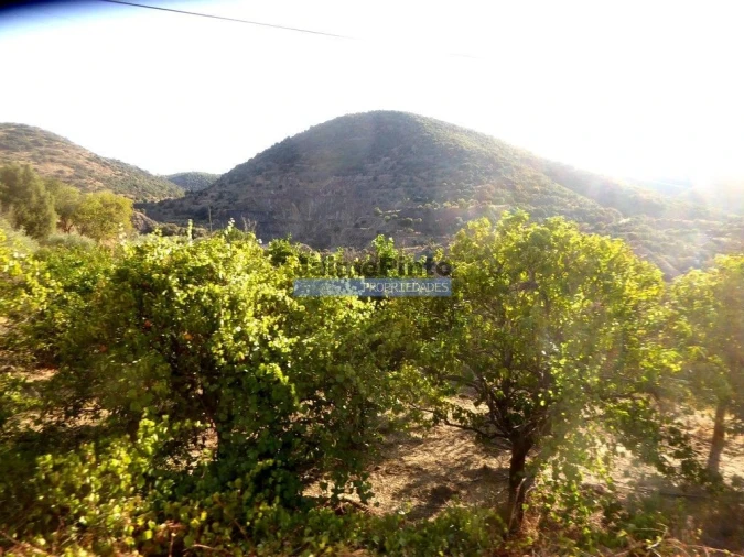 Terreno Agricola ou Rústico para Venda em Figueira de Castelo Rodrigo Foto 7