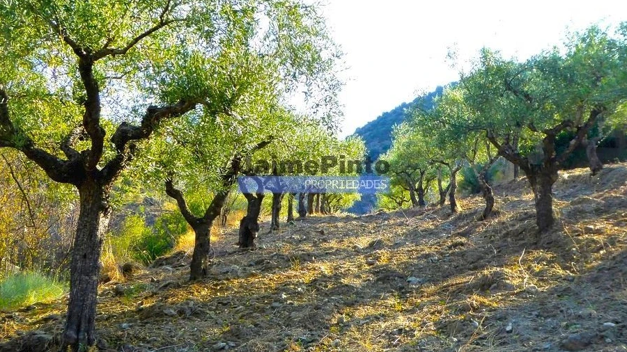 Terreno Agricola ou Rústico para Venda em Figueira de Castelo Rodrigo