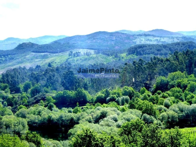 Prédio para Venda em Arcos de Valdevez (São Paio) e Giela Foto 3