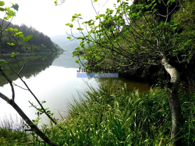 Terreno para Venda em Alpendorada, Várzea e Torrão Foto 2