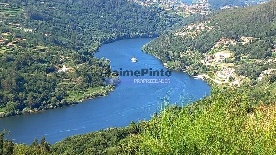 Terreno para Venda em Alpendorada, Várzea e Torrão