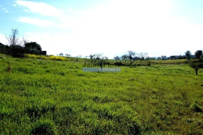 Moradia T2 para Venda em São Pedro de Alva e São Paio de Mondego