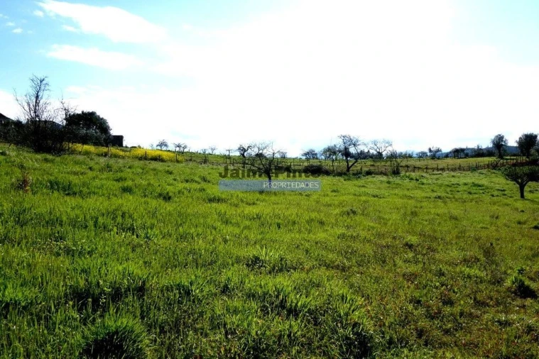 Moradia T2 para Venda em São Pedro de Alva e São Paio de Mondego Foto 3