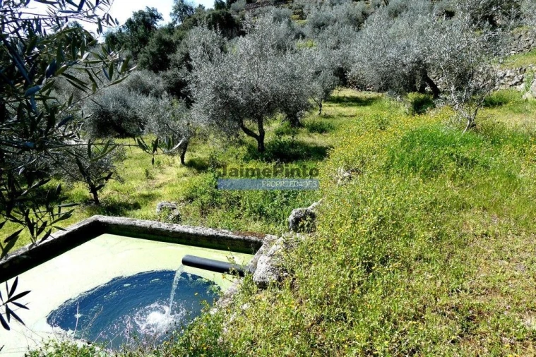 Terreno Agricola ou Rústico para Venda em Pombal Foto 3