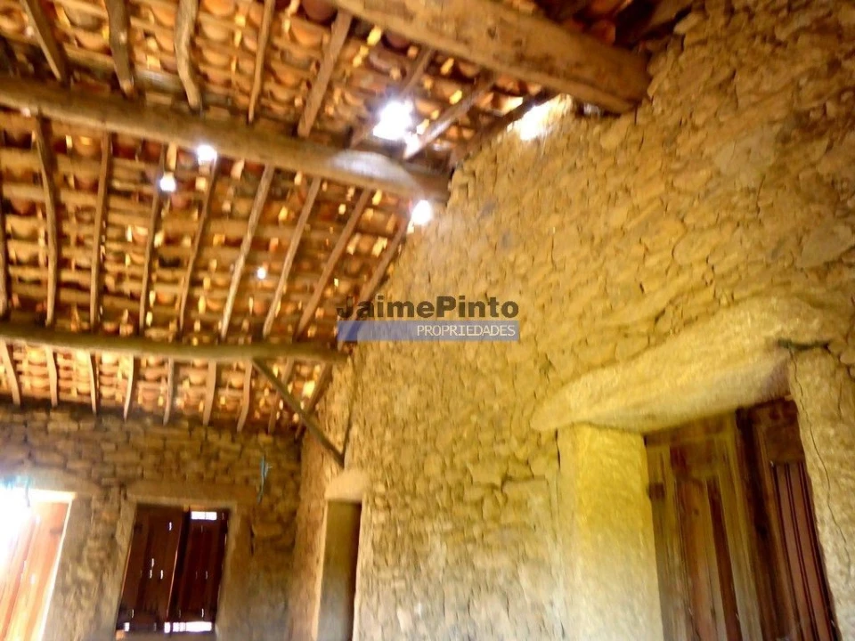 Terreno Agricola ou Rústico para Venda em Escalhão Foto 2