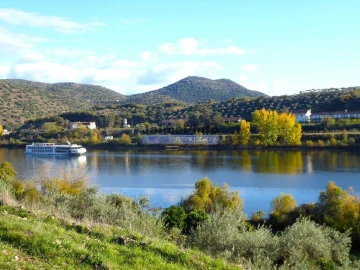 Terreno Agricola ou Rústico para Venda em Escalhão