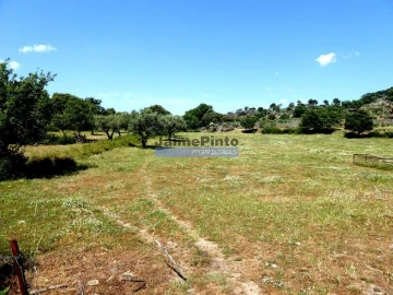 Terreno Agricola ou Rústico para Venda em Escalhão
